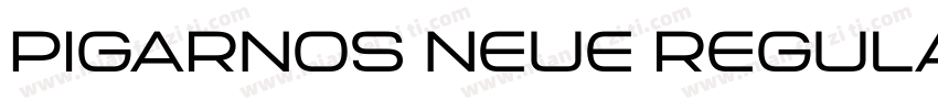 Pigarnos Neue Regular字体转换